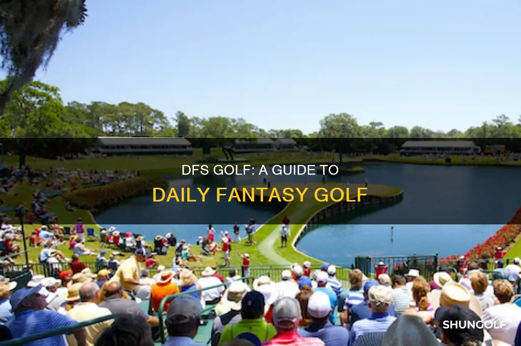 what is dfs golf