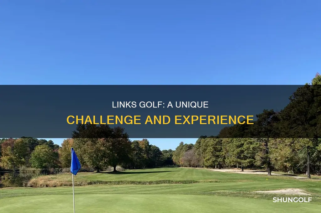 what is difference between links golf