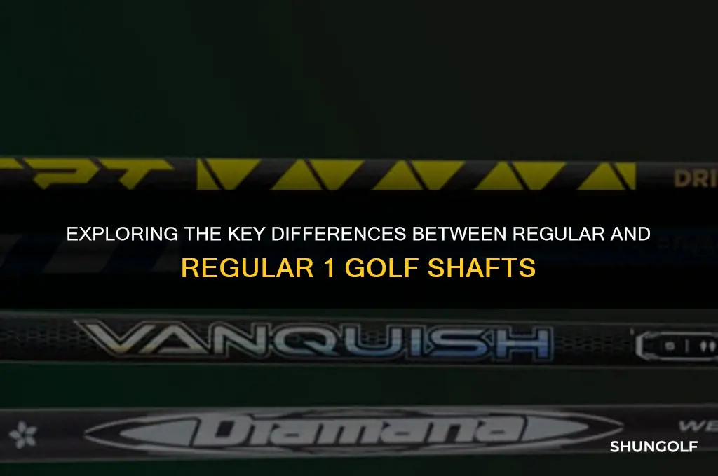 what is differnce in reg and reg1 golf shaft