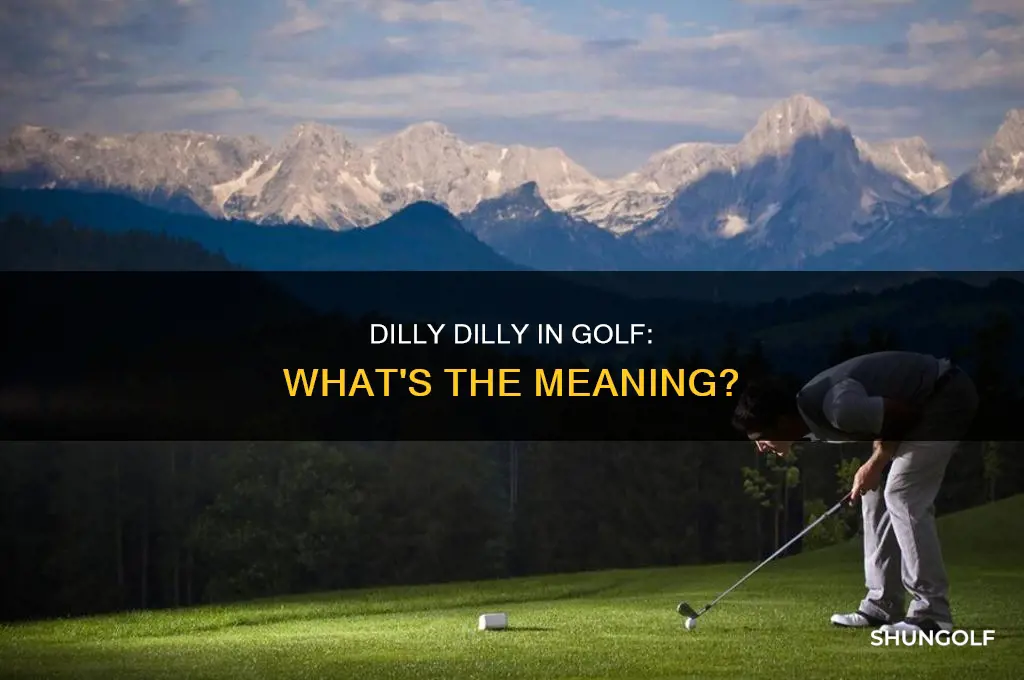 what is dilly dilly in golf