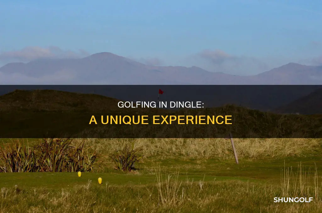what is dingle golf