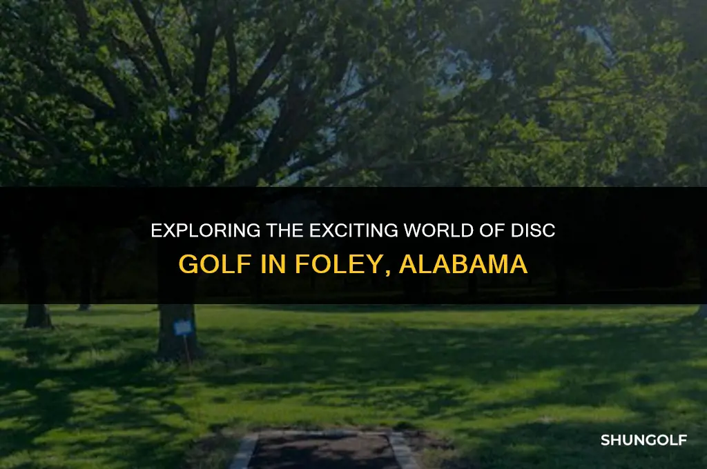 what is disc golf foley al