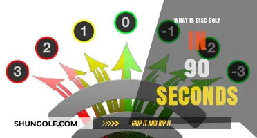 Quick Tee-Off: Understanding Disc Golf in Under Two Minutes