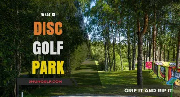 Exploring the Exciting World of Disc Golf Parks