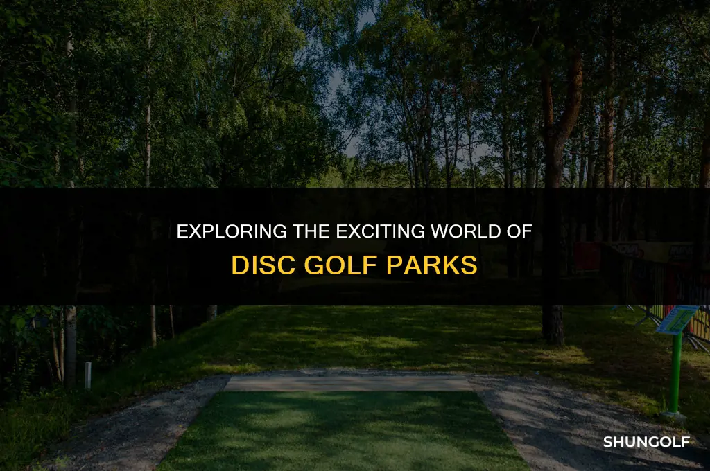 what is disc golf park