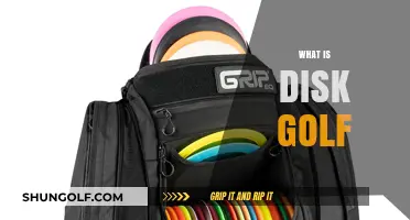 Disc Golf: An Outdoor Game for All Ages