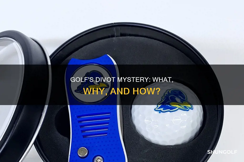 what is divot golf
