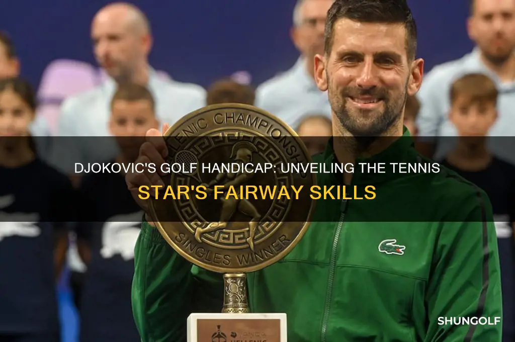 what is djokovic golf handicap