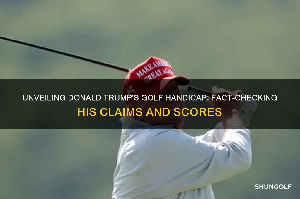 what is donald trump