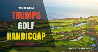 Unveiling Donald Trump's Golf Handicap: A Detailed Analysis and Insights