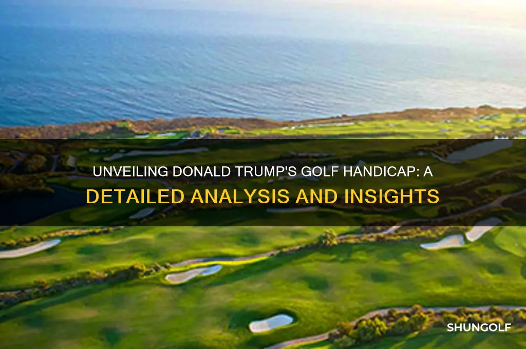 what is donald trumps golf handicqap