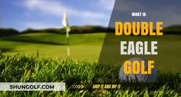 Golf's Double Eagle: A Rare Birdie