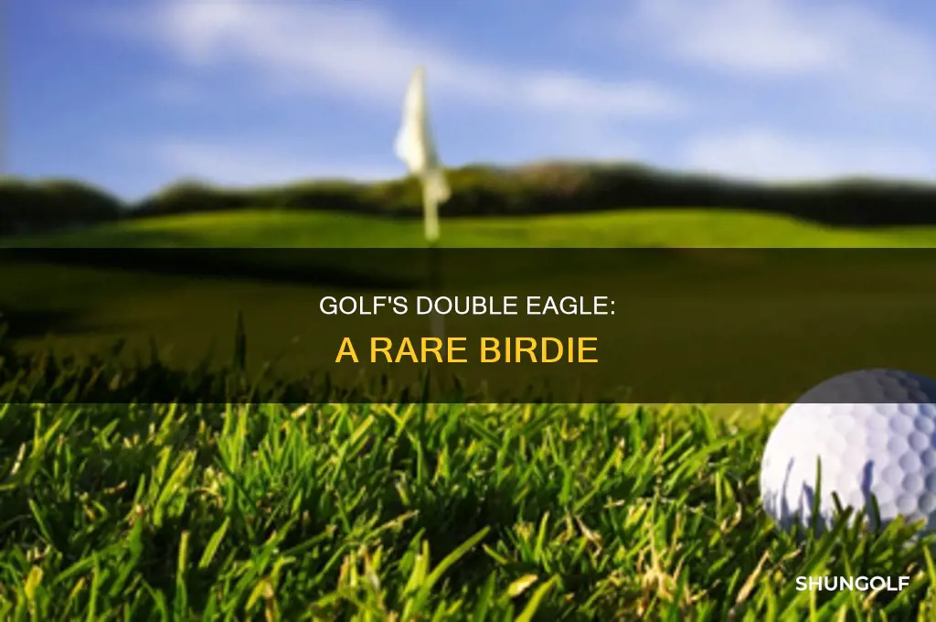 what is double eagle golf