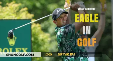Golf's Rare Double Eagle: How Pros Score It