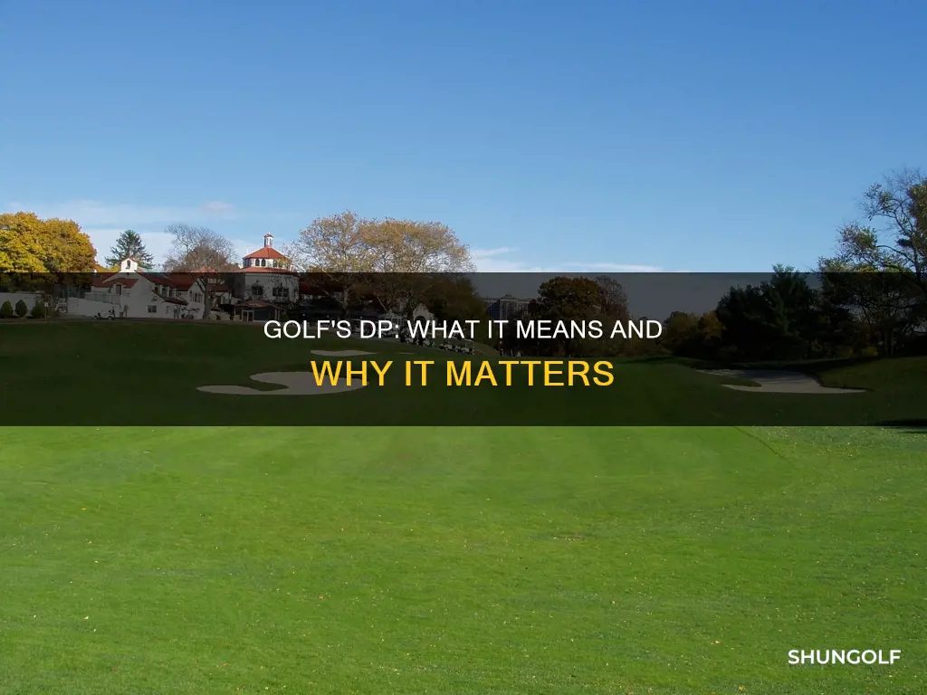 what is dp golf