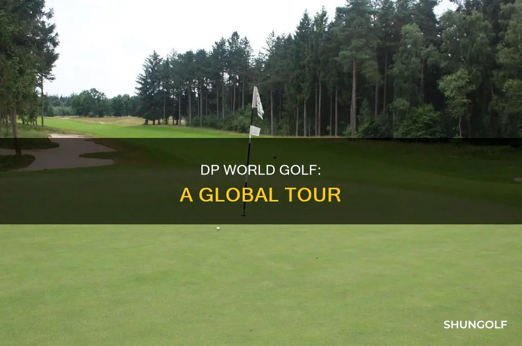 what is dp world golf