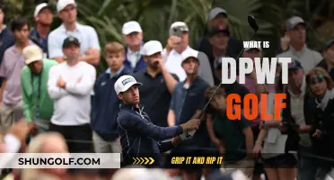 Golf's DPWT: A Unique Tournament Format