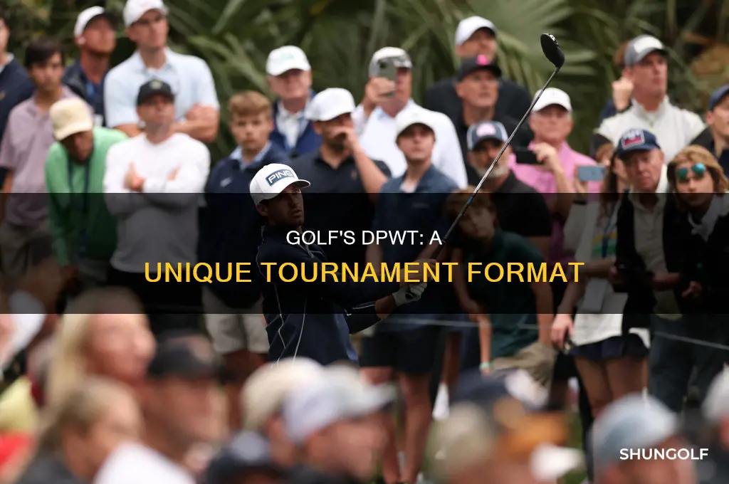 what is dpwt golf