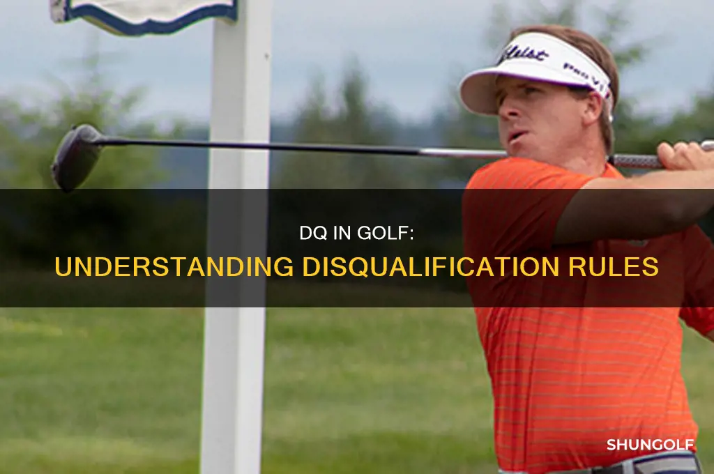 what is dq in golf