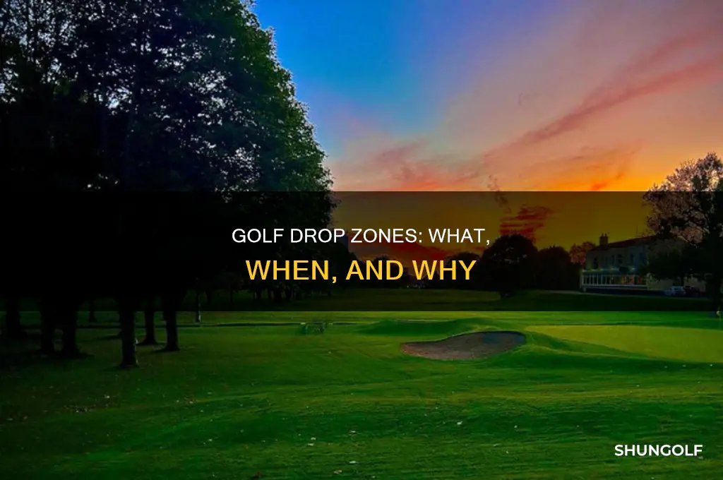 what is drop zone in golf