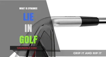 Understanding Golf's Dynamic Lie: Secrets to a Perfect Swing