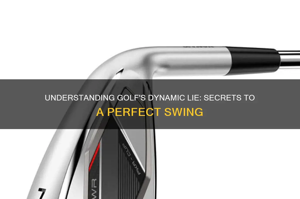 what is dynamic lie in golf