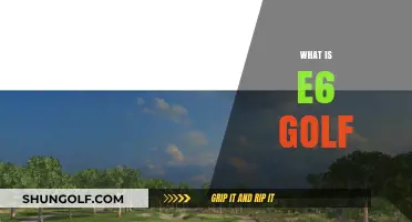Golf's E6 Evolution: Simulating the Sport