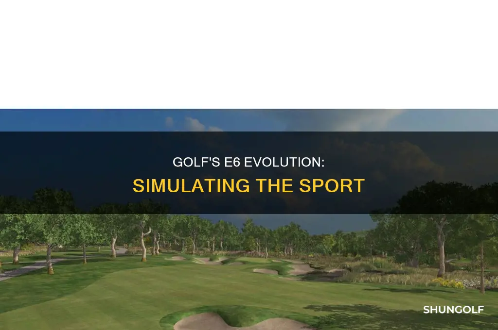 what is e6 golf