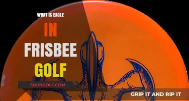 Eagle in Disc Golf: What It Means and How to Achieve It