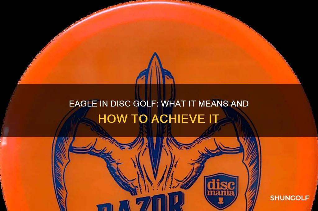 what is eagle in frisbee golf