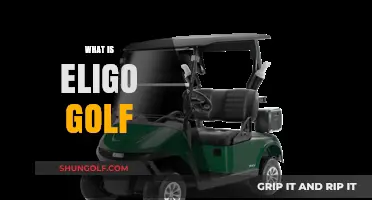 Eligo Golf: Transforming the Game for Beginners