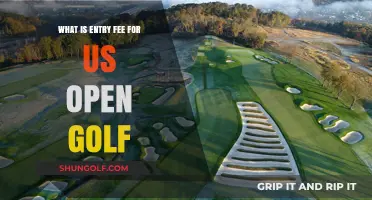 US Open Golf Entry Fee: Cost Breakdown and Spectator Guide