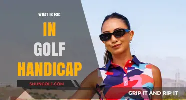 Understanding ESC in Golf Handicap: A Beginner's Guide to Calculation