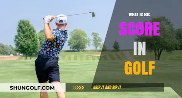 Understanding the Intricacies of Golf's ESC Score