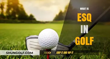 Golf's Esq: What's It All About?