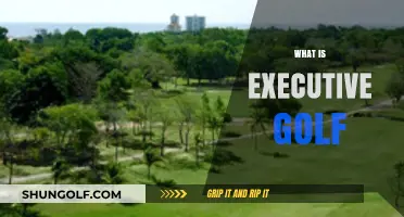 Executive Golf: A Faster, Shorter Course Experience