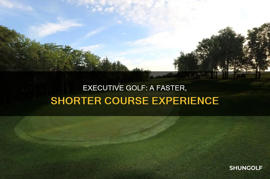 what is executive golf