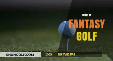 Golf Fantasy: A Game Within a Game