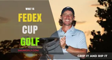 Golf's FedEx Cup: How it Works and Why it Matters