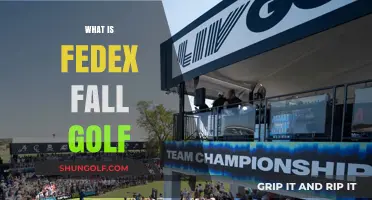 FedEx Cup Finale: Golf's Grand Playoff