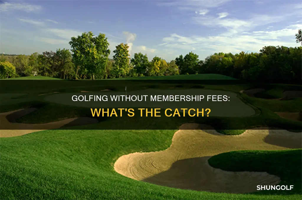 what is fee only golf