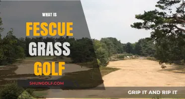 Golf's Fescue Grass: A Comprehensive Guide