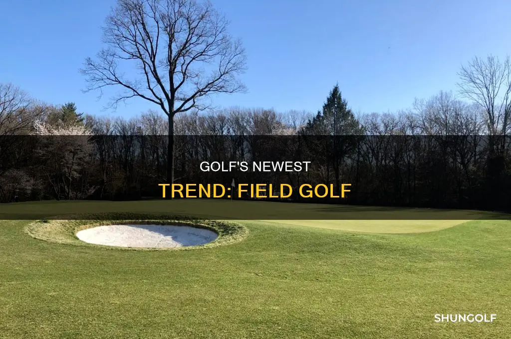 what is field golf
