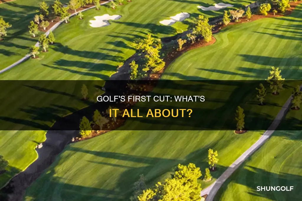what is first cut golf