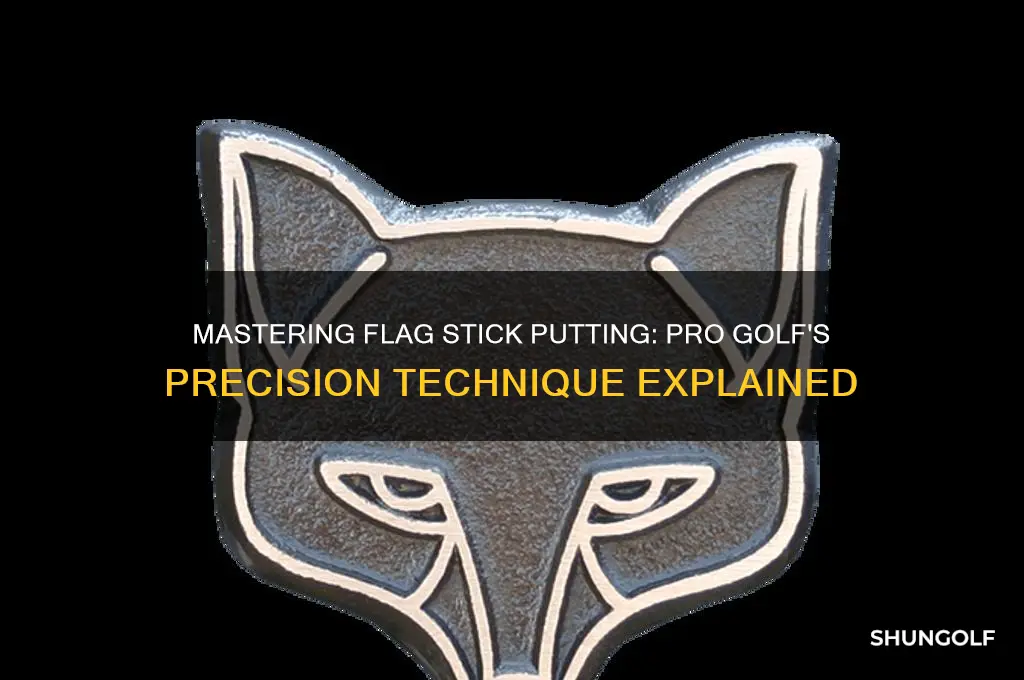 what is flag stick putting in pro golf