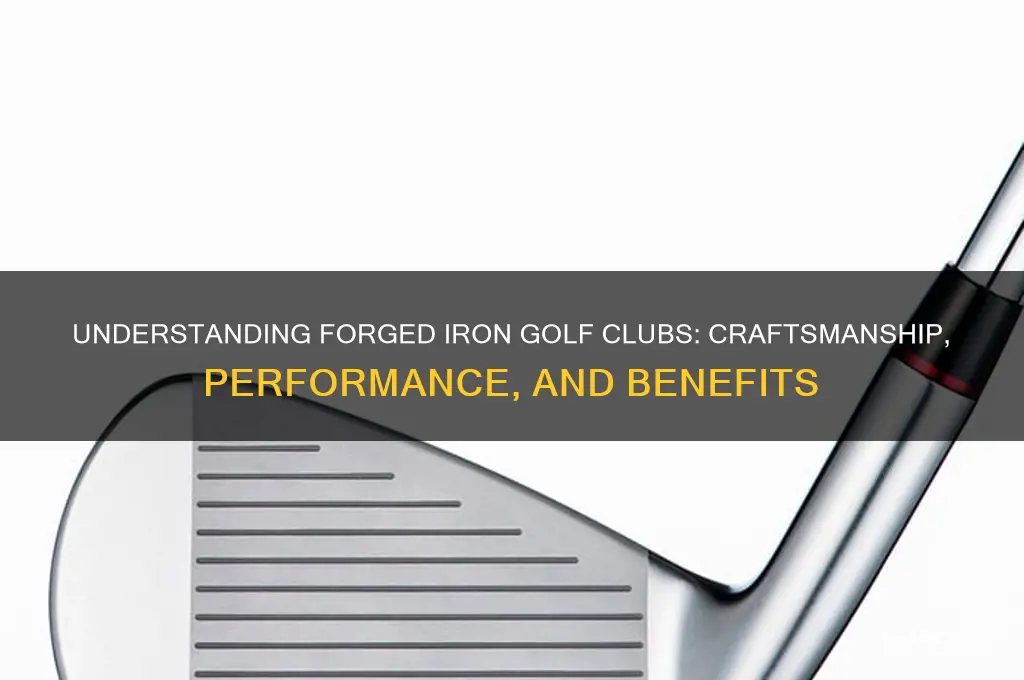 what is forged iron golf club