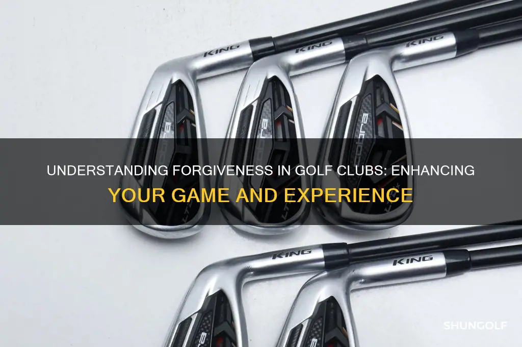 what is forgiveness in a golf club