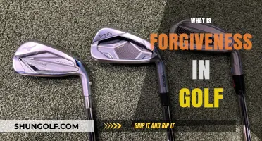 Golf Clubs: Understanding Forgiveness and How It Works