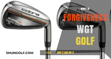Golf Clubs: How Much Forgiveness Do You Need?
