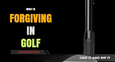 Golf Clubs: Understanding the Concept of Forgiveness